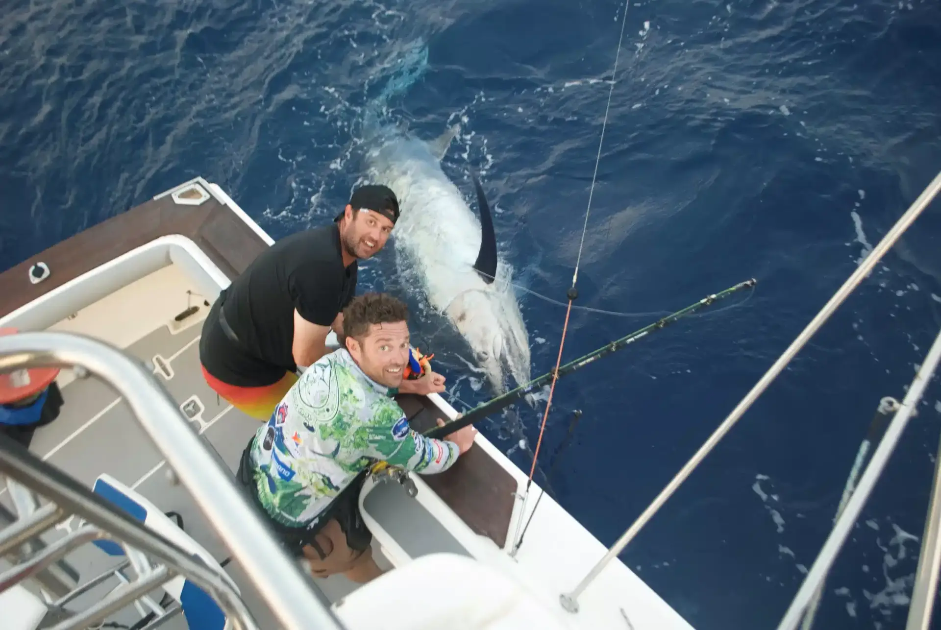 Giant black marlin beside boat in exmouth